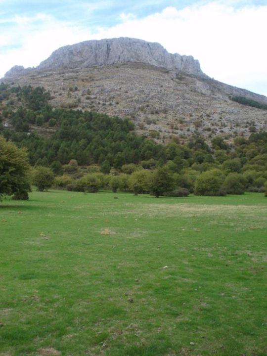 Maison d'hôtes Casa Rural Casa Gonzalo à Bélmez de la Moraleda Extérieur photo